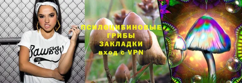 Галлюциногенные грибы Magic Shrooms  закладки  Лакинск 